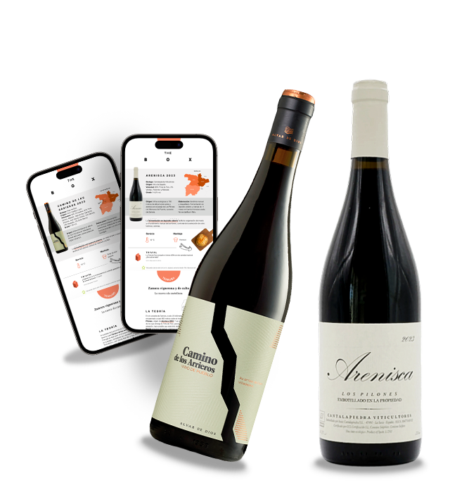 Zamora vignerona y de culto
