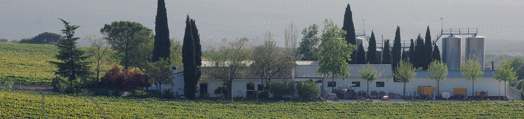 Productor: Bodegas Pérez Barquero