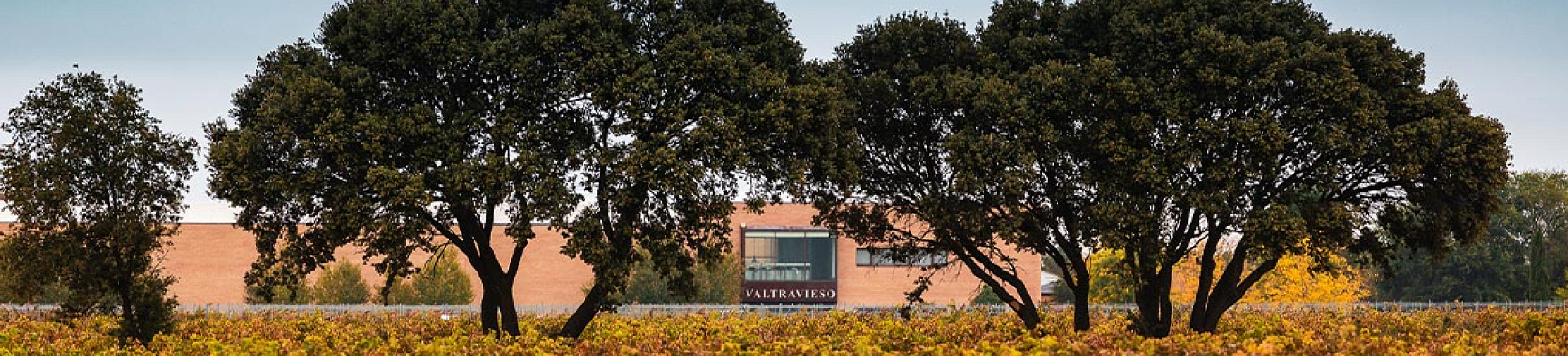 Productor: Valtravieso Bodegas y Viñedos