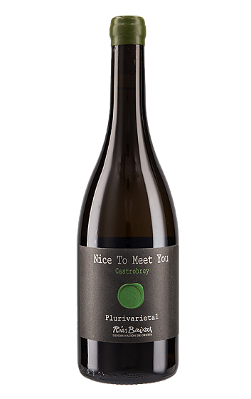 Producto: Nice to meet you 2021