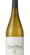 Producto: Pago de Tharsys Albariño Vendimia Nocturna 2024