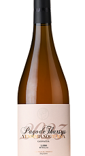 Producto: Tharsys Vendimia Nocturna Rosado 2025