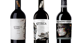 Ateca