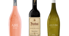 Protos
